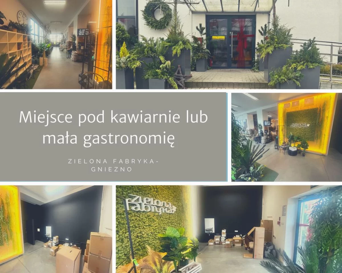 Wynajmę Lokal Miejsce z myślą o małej gastronomi lub kawiarni Gniezno