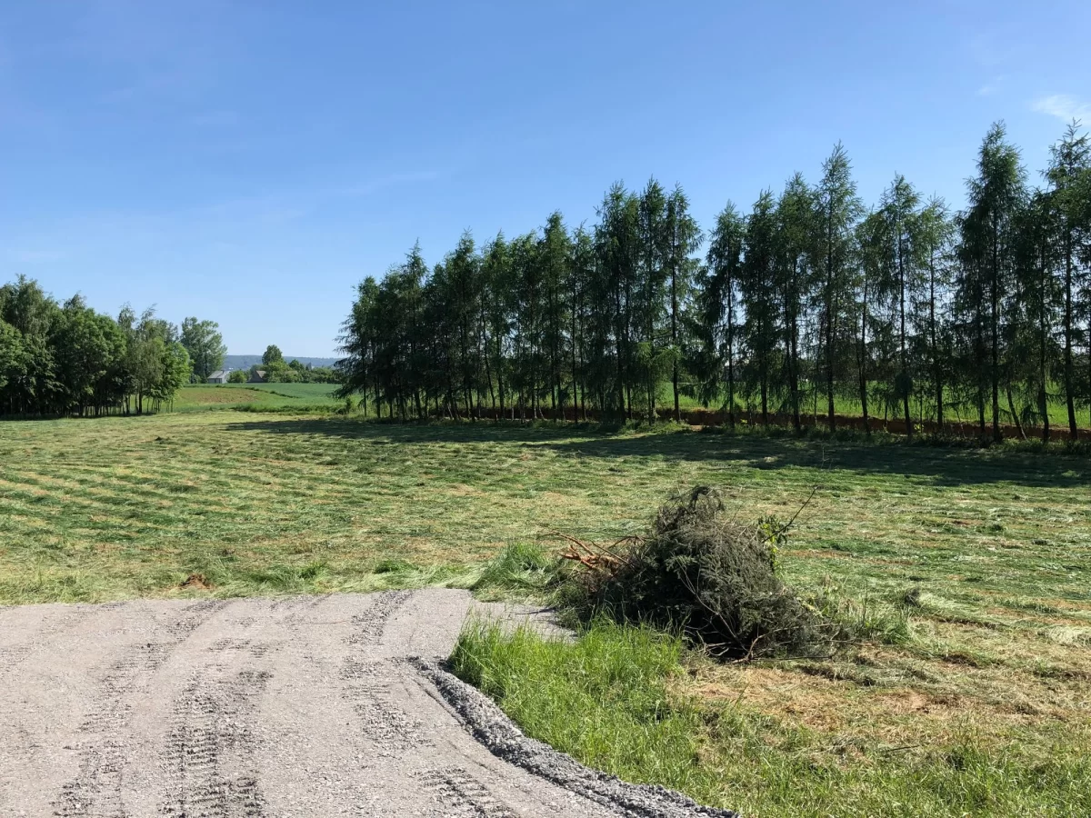 Sprzedam piękne działki w Dębicy/ Żyraków kol.-Faktura vat!!-23%