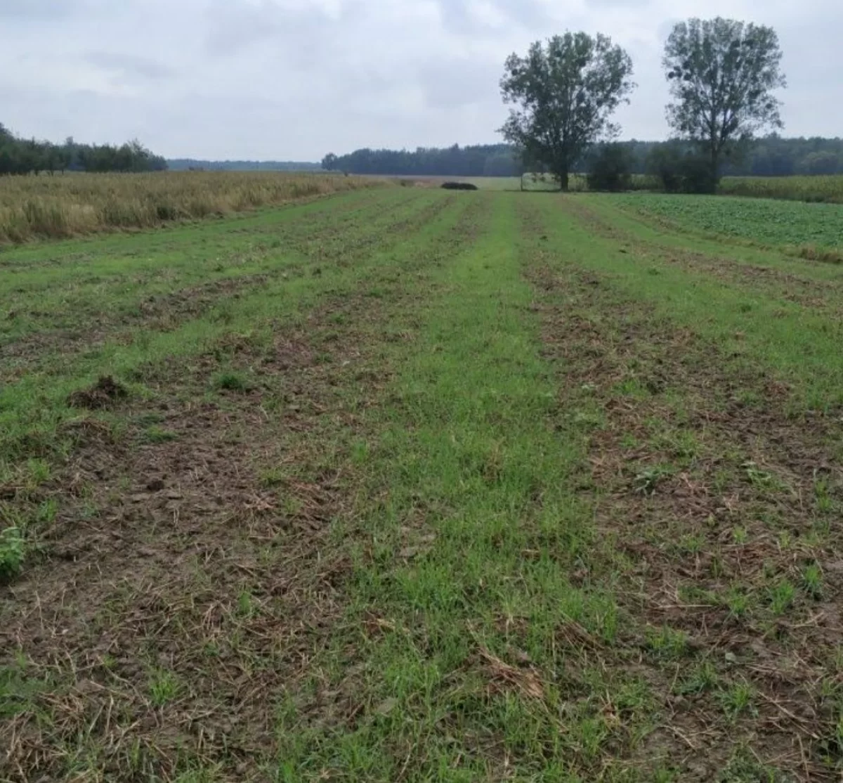 Sprzedam Działka budowlana Radom