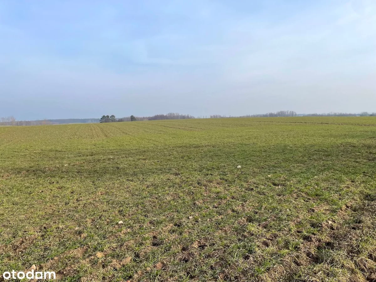 Sprzedam działkę budowlaną Poznań Radojewo-Umultowo 1000m2 z planem