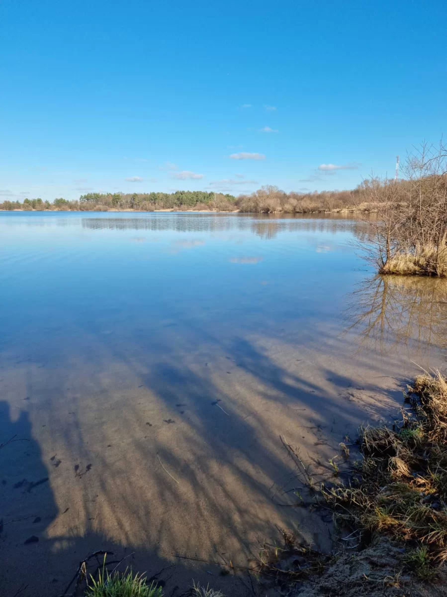 Sprzedam działkę budowlaną Wrocław Własna linia brzegowa plaża las PRYWATNE JEZIORO Krępnica Bolesławice