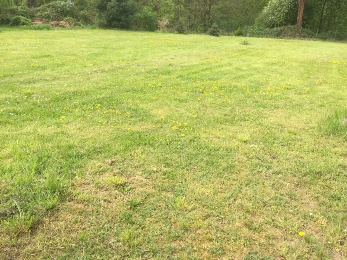 Sprzedam Działkę we Wrocławiu 2500m2 Stabłowice