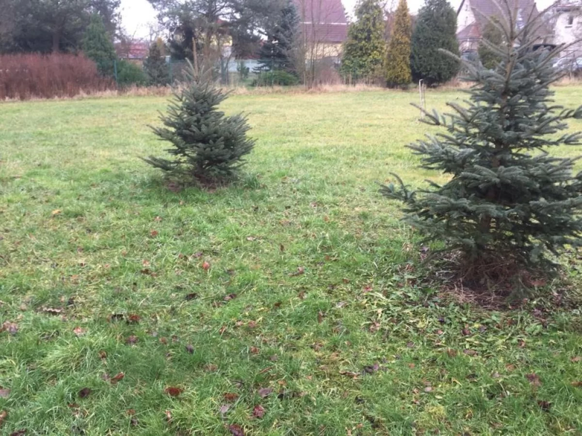 Sprzedam Działkę we Wrocławiu 2500m2 Stabłowice