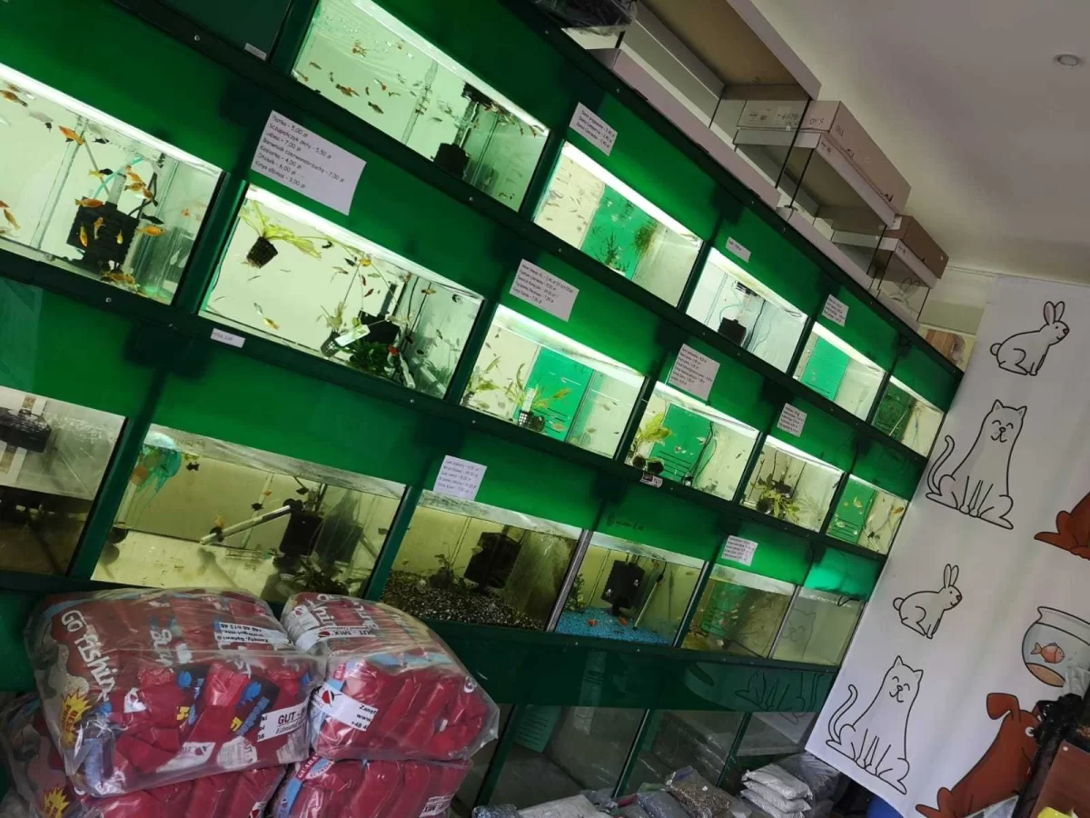 Sprzedam działający sklep zoologiczno-wędkarski