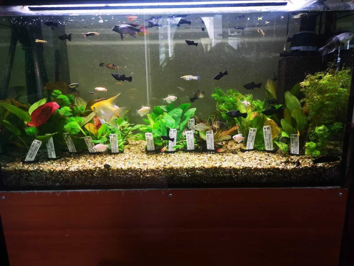 Sprzedam działający sklep zoologiczno-wędkarski