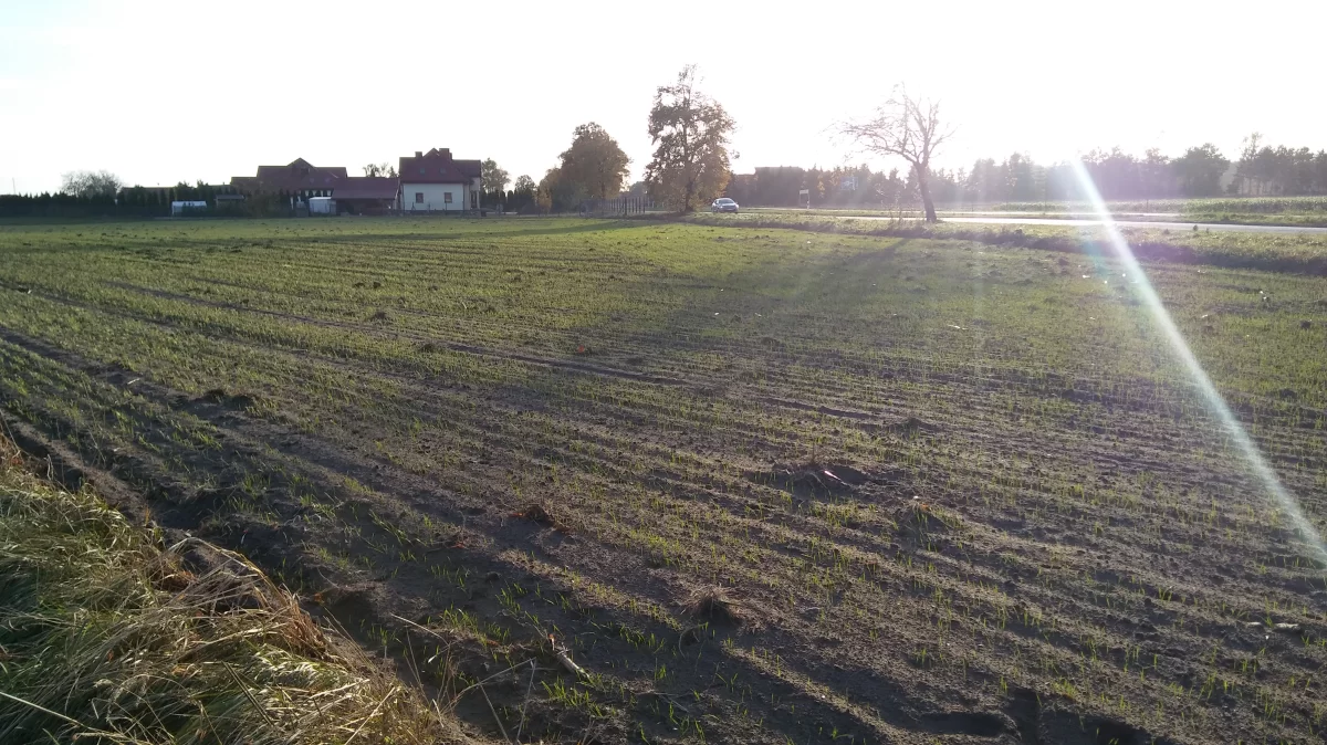 Działka Budowlana 3000 m2 Zakrzewo kuj-pom