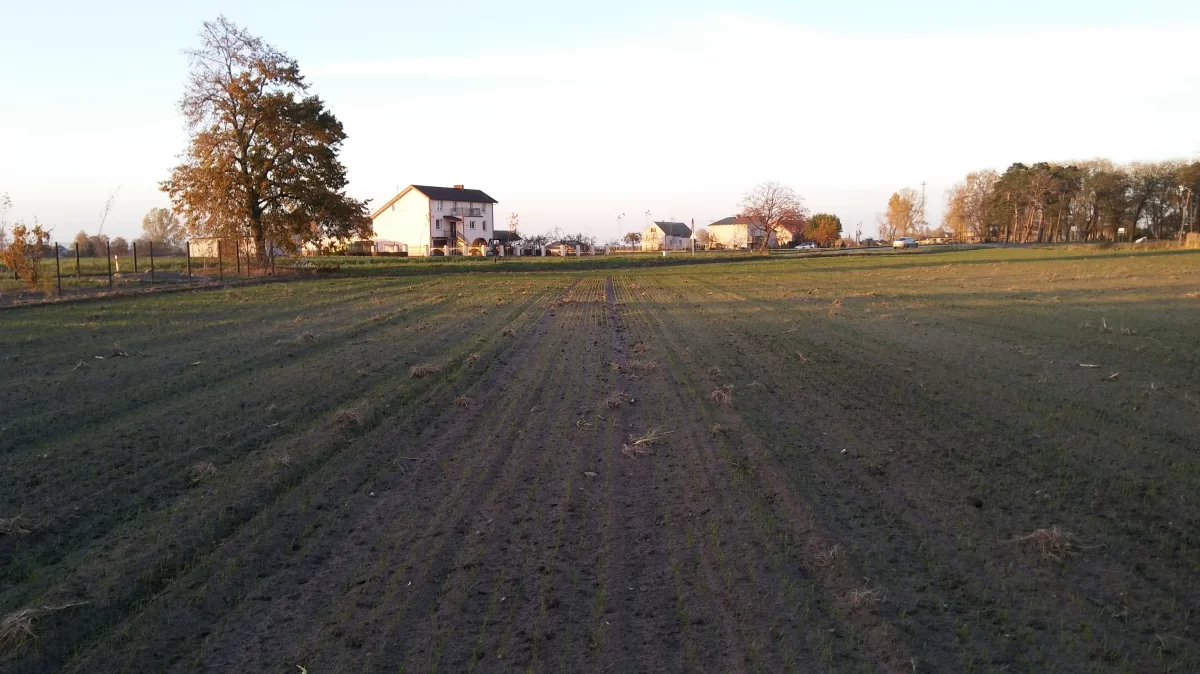 Działka Budowlana 3000 m2 Zakrzewo kuj-pom
