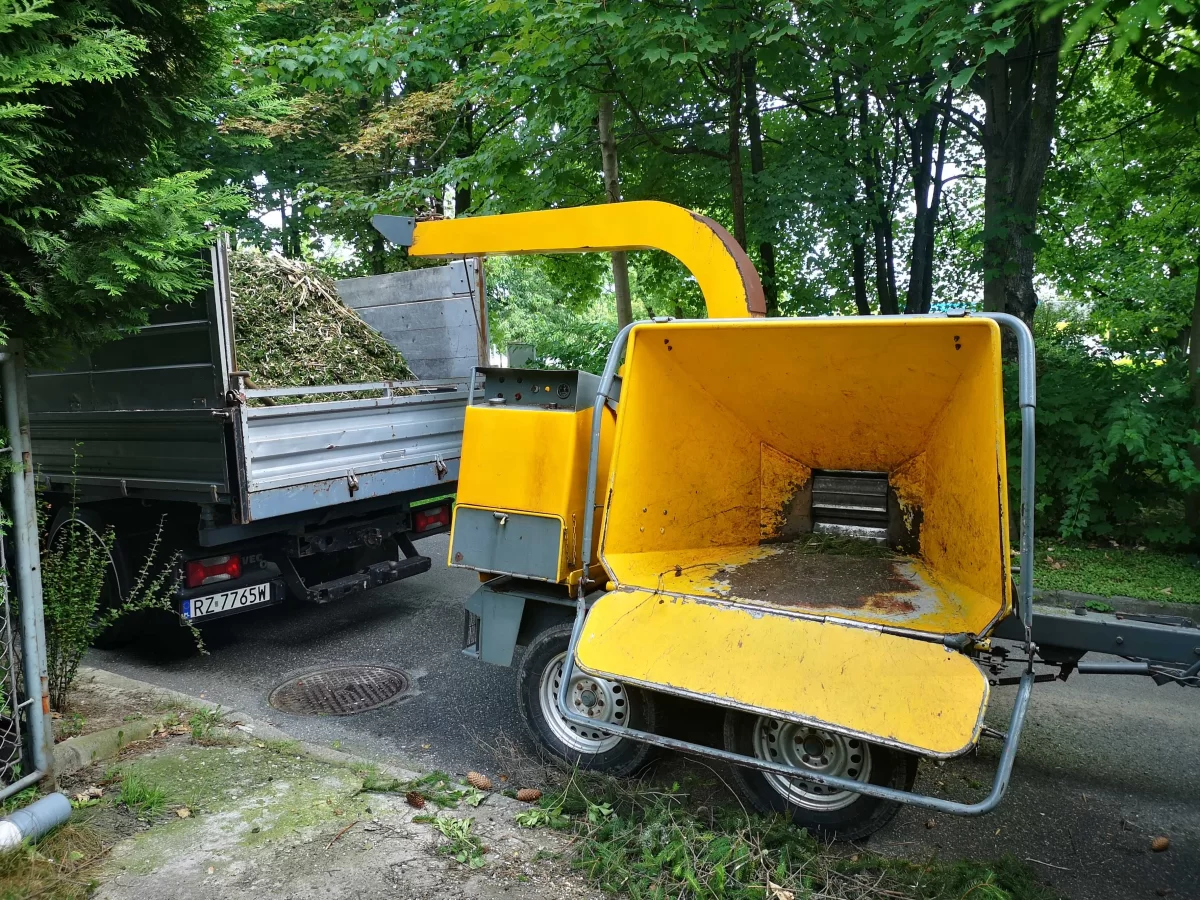 Wycinka drew trudnych metodą alpinistyczną lub z podnośnika.