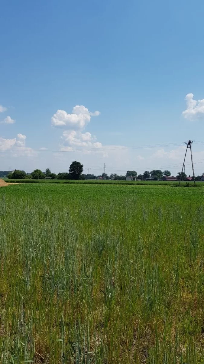 Sprzedam działkę budowlaną Tychy