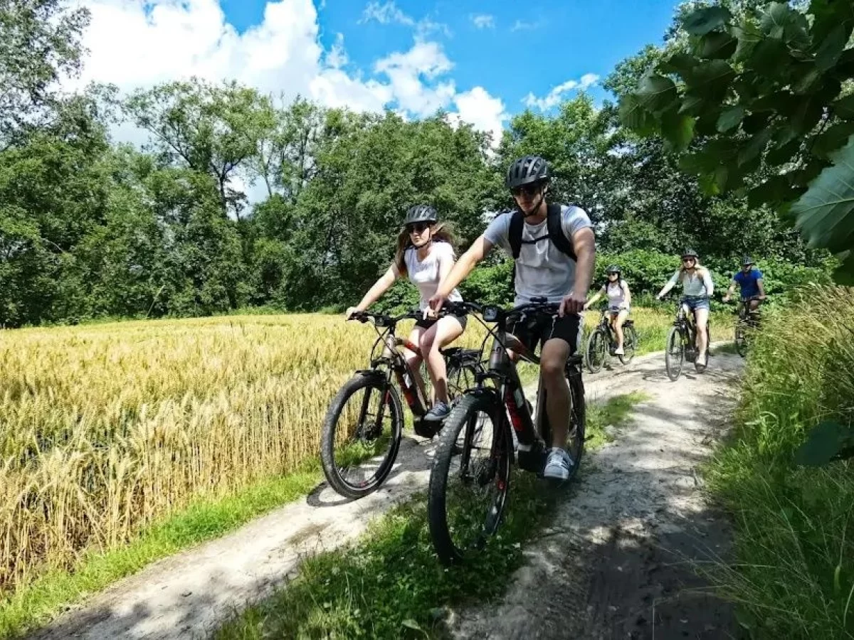 Sprzedam gotowy biznes (wypożyczalnia rowerów)