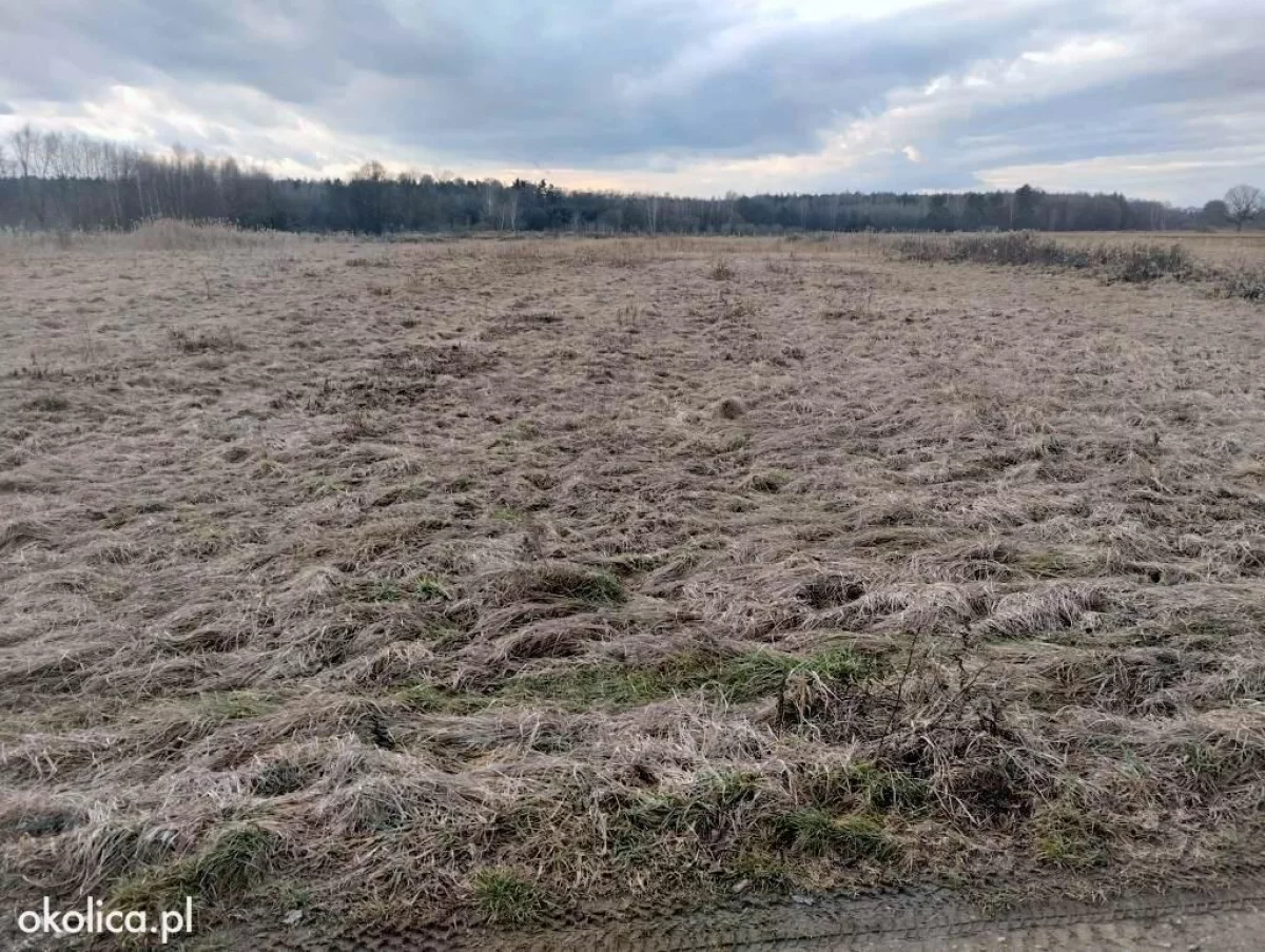 Niedzieliska Działka Rolna 83,92ar