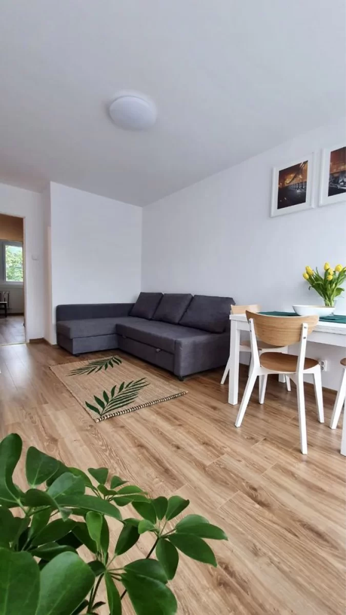 Wynajmę mieszkanie Wrocław przy Wroclavii, 2 osobne pokoje 42m2