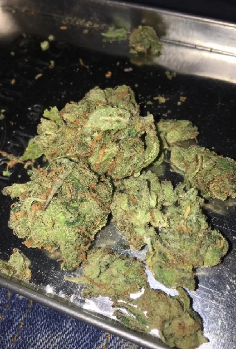 Amnesia Haze!! 24% THC!!