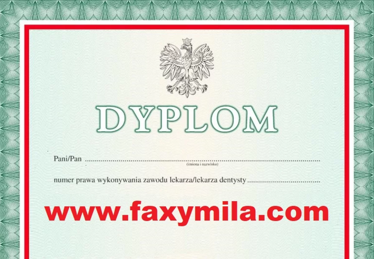 Oferujemy dyplomy uniwersytetów, świadectwa z wpisem