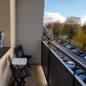 kawalerka do wynajęcia