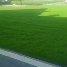 Zakładanie ogrodów trawników,pielęgnacja aranżacja trawnik ogród