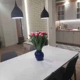 Wynajmę mieszkanie 51 m2  Piaseczno
