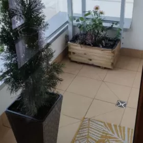 34m2 ul. Jarząbka