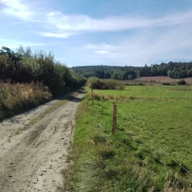 Dom do remontu z Działką 1300m² Bardo Kotlina Kłodzka  Piękna Okolica!