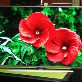 Telewizor Philips 55 cali 4K UHD, Android,Ambiliht3 Super Stan