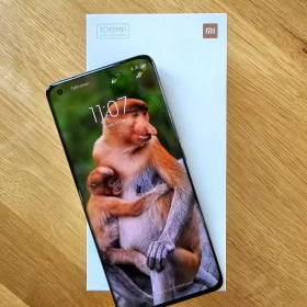 Telefon Xiaomi Mi 11 Midnight Gray - 8GB RAM, 256GB ROM
