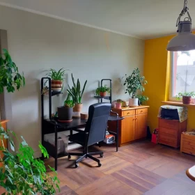 Mieszkanie po remoncie 55 m2, budynek, piwnica, parking, ogródek