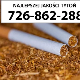 Super Jakości TYTOŃ 75PLN/1KG