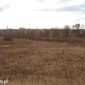 Sprzedam atrakcyjną działkę Dzierzgoń Morany 5391m2