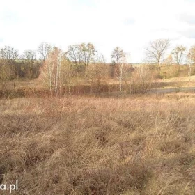 Sprzedam atrakcyjną działkę Dzierzgoń Morany 5391m2