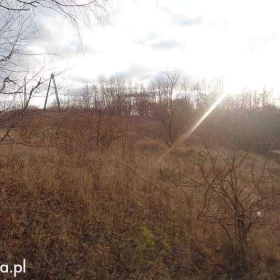 Sprzedam atrakcyjną działkę Dzierzgoń Morany 5391m2