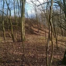 Sprzedam atrakcyjną działkę Dzierzgoń Morany 5391m2