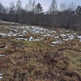 Sprzedam atrakcyjną działkę Dzierzgoń Morany 5391m2