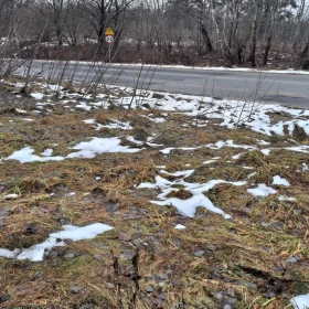 Sprzedam atrakcyjną działkę Dzierzgoń Morany 5391m2