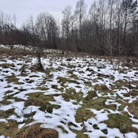 Sprzedam atrakcyjną działkę Dzierzgoń Morany 5391m2