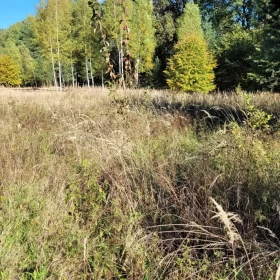 Atrakcyjna działka nad jeziorem Nowogród Bobrzański