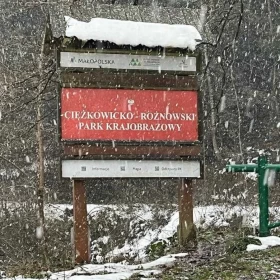 Sprzedam działke budowlaną z domem SŁONA gmina Zakliczyn 6,22 ha