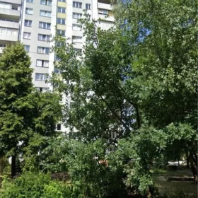 Sprzedam Mieszkanie Warszawa Wilanów Goplańska Do remontu