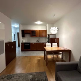 Wynajmę Mieszkanie na wynajem 46m2–2 pokoje, parking, klima