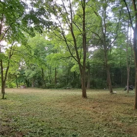 Sprzedam Siedlisko 1,6 ha z Dom z bala na sprzedaż Koszewo