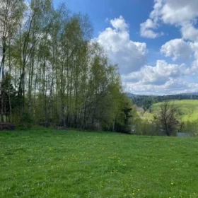 Sprzedam Dom z Bala w Bieszczadach, miejscowość Czarna Górna powiat bieszcza
