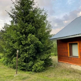 Sprzedam Dom w Bieszczadach wieś Krzemienna gm. Dydnia - góry, las, rzeka, staw