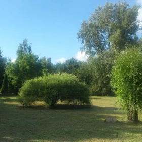 Sprzedam  Dom z basenem i jacuzzi na dużej działce Łomianki