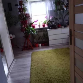 Sprzedam dom, siedlisko Kraśniczyn