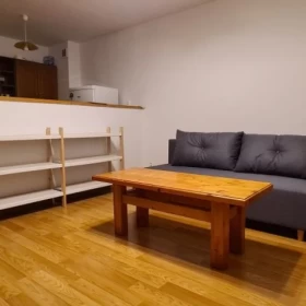 Wynajmę 2 pok mieszkanie 45 m2 Kraków Miłkowskiego Dębniki