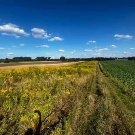 Działka budowlano - rolna Tomaszowice gm. Jastków, 2 km od Lublina