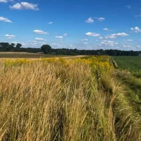 Działka budowlano - rolna Tomaszowice gm. Jastków, 2 km od Lublina
