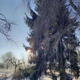 Działka budowlana Płouszowice-Kolonia