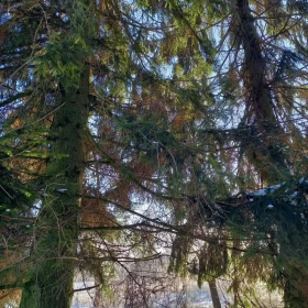 Działka budowlana Płouszowice-Kolonia