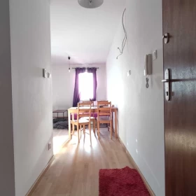 Sprzedam Mieszkanie 2 - pokojowe z aneksem i tarasem, ul.Karpia, Naramowice