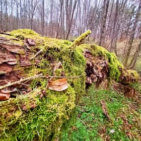 Sprzedam Działke nad Rzeką Jeziorem